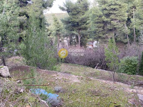 Οικόπεδο 1.715τ.μ. για πώληση-Δροσιά