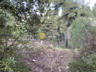 Οικόπεδο 1.715 τ.μ. για πώληση, Αθήνα - Βόρεια Προάστια, Δροσιά-thumb-1