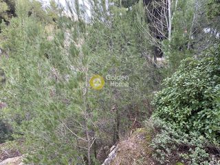 Οικόπεδο 1.715 τ.μ. για πώληση, Αθήνα - Βόρεια Προάστια, Δροσιά-thumb-2