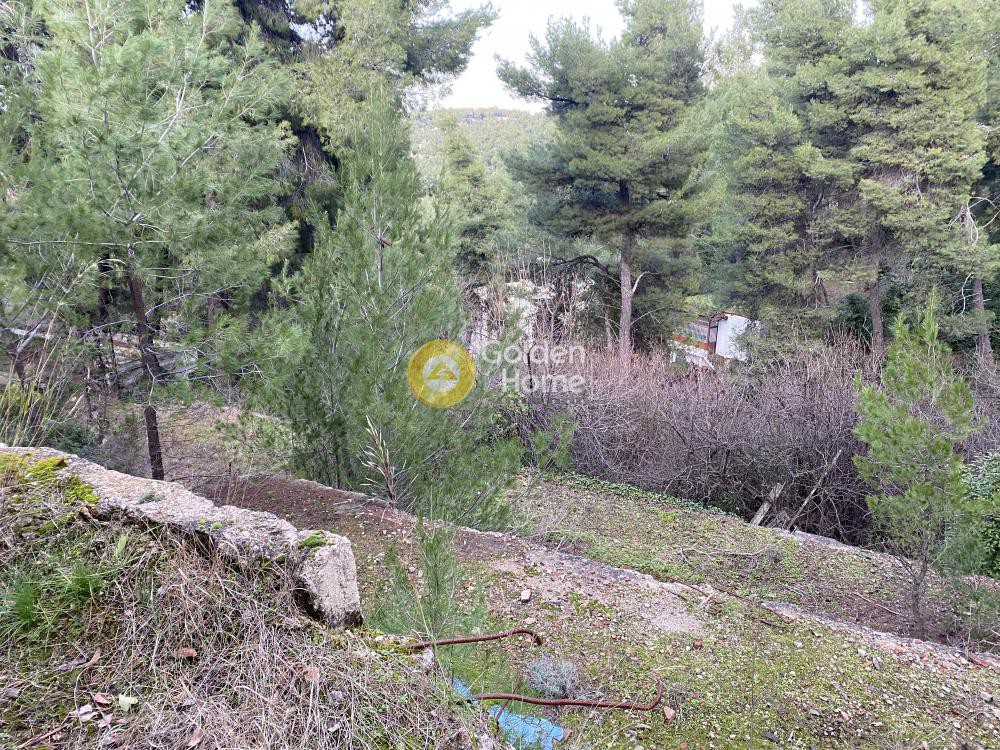Οικόπεδο 1.715 τ.μ. προς πώληση, Δροσιά