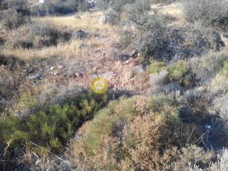 Οικόπεδο 420 τ.μ. για πώληση, Αττική - Υπόλοιπο, Ανάβυσσος-thumb-2