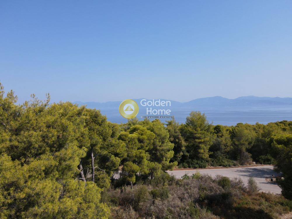 Οικόπεδο 1.000 τ.μ. προς πώληση, Θεολόγος Μαλεσίνας