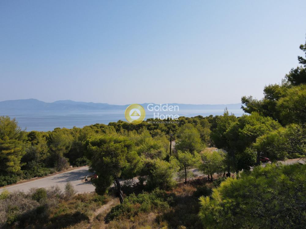 Οικόπεδο 1.000 τ.μ. προς πώληση, Θεολόγος Μαλεσίνας