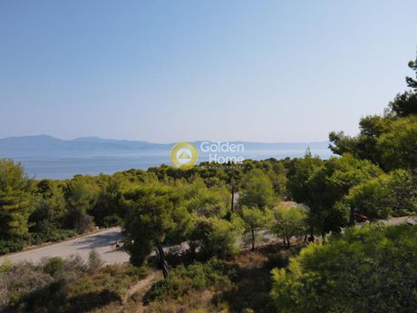 Land plot 1.000sqm for sale-Malesina » Theologos