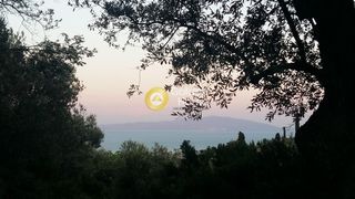 Οικόπεδο 4.105 τ.μ. για πώληση, Ν. Λέσβου, Λέσβος - Μυτιλήνη-thumb-2