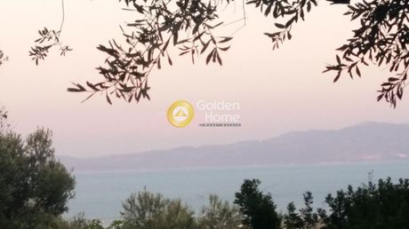 Οικόπεδο 4.105 τ.μ. για πώληση