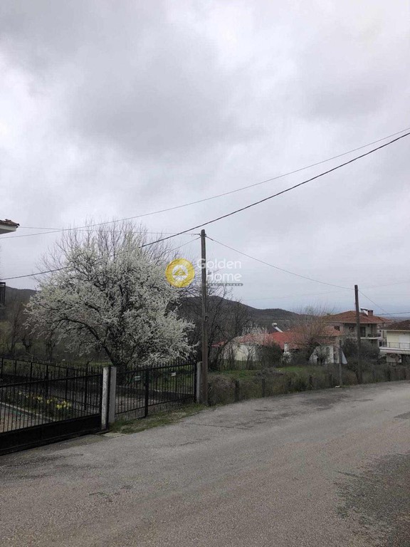 Οικόπεδο 597 τ.μ. προς πώληση, Φιλύρα