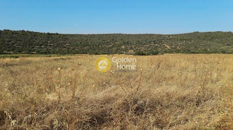 Parcel 12.000sqm for sale-Stira » Kavalliani
