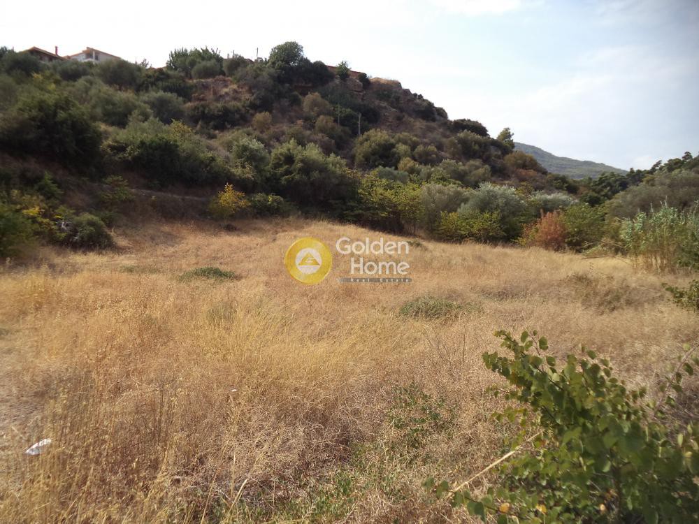 Οικόπεδο 551 τ.μ. προς πώληση, Φούρνοι Ακράτας