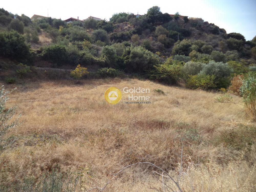 Οικόπεδο 551 τ.μ. προς πώληση, Φούρνοι Ακράτας