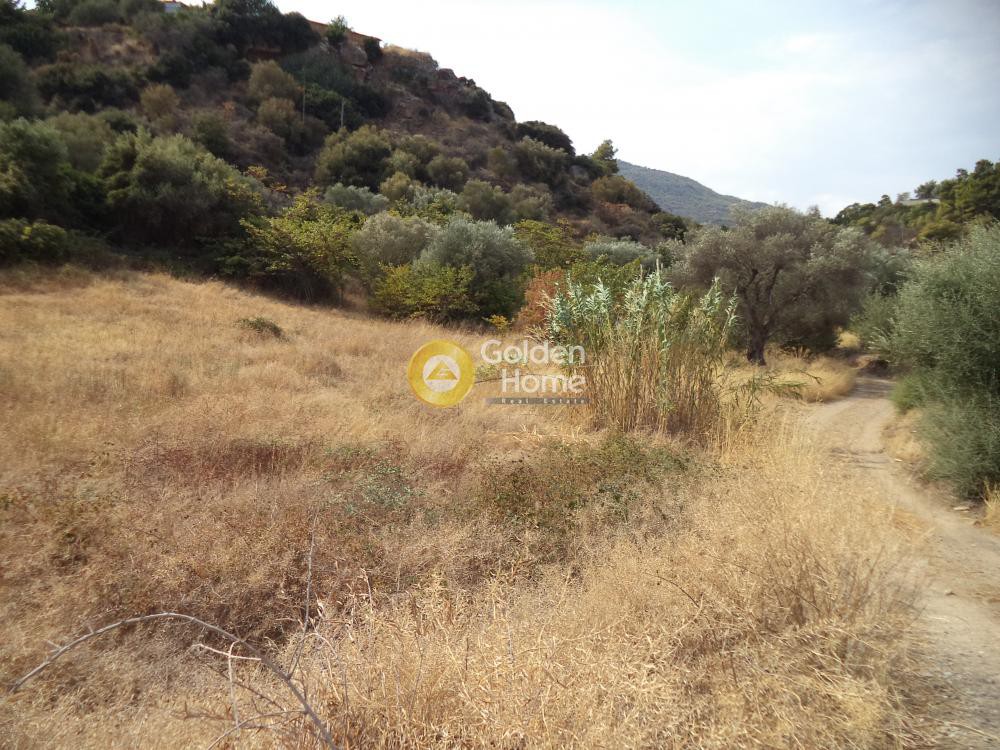 Οικόπεδο 551 τ.μ. προς πώληση, Φούρνοι Ακράτας