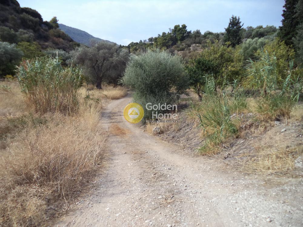 Οικόπεδο 551 τ.μ. προς πώληση, Φούρνοι Ακράτας