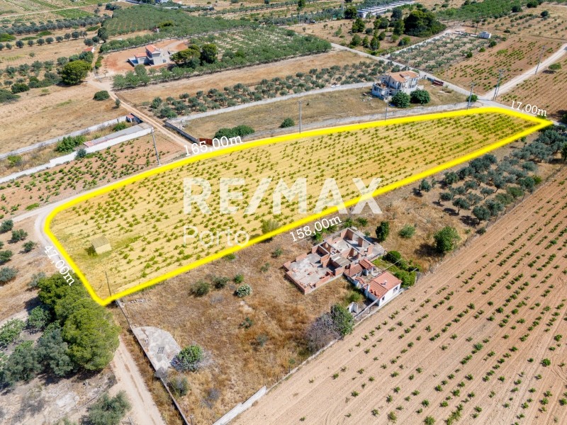 Αγροτεμάχια 6.259 τ.μ. πρός πώληση, Αττική - Υπόλοιπο, Μαρκόπουλο