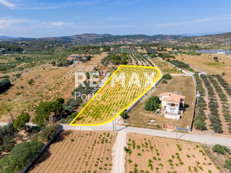 Αγροτεμάχια 6.259 τ.μ. πρός πώληση, Αττική - Υπόλοιπο, Μαρκόπουλο
