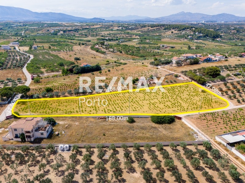 Αγροτεμάχια 6.259 τ.μ. πρός πώληση, Αττική - Υπόλοιπο, Μαρκόπουλο
