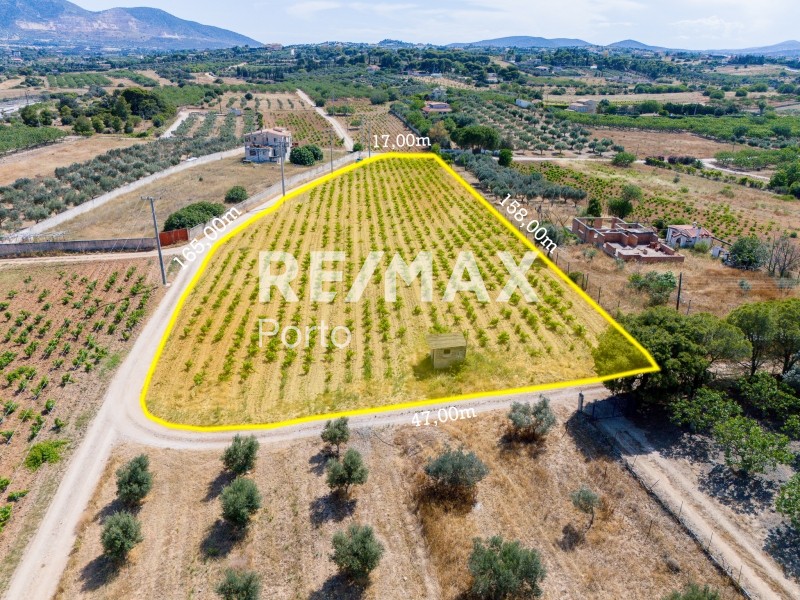 Αγροτεμάχια 6.259 τ.μ. πρός πώληση, Αττική - Υπόλοιπο, Μαρκόπουλο