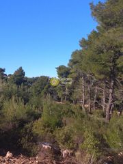 Οικόπεδο 806 τ.μ. για πώληση, Αθήνα - Βόρεια Προάστια, Δροσιά-thumb-2
