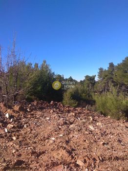 Land plot 806sqm for sale-Drosia