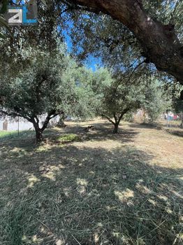 Land plot 400 sqm for sale