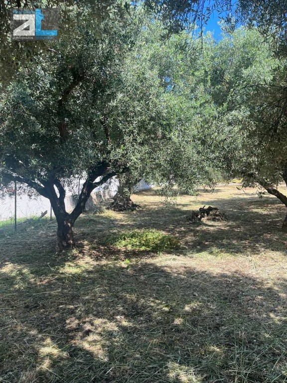 Οικόπεδο 400 τ.μ. προς πώληση, Αχαΐα, Πάτρα