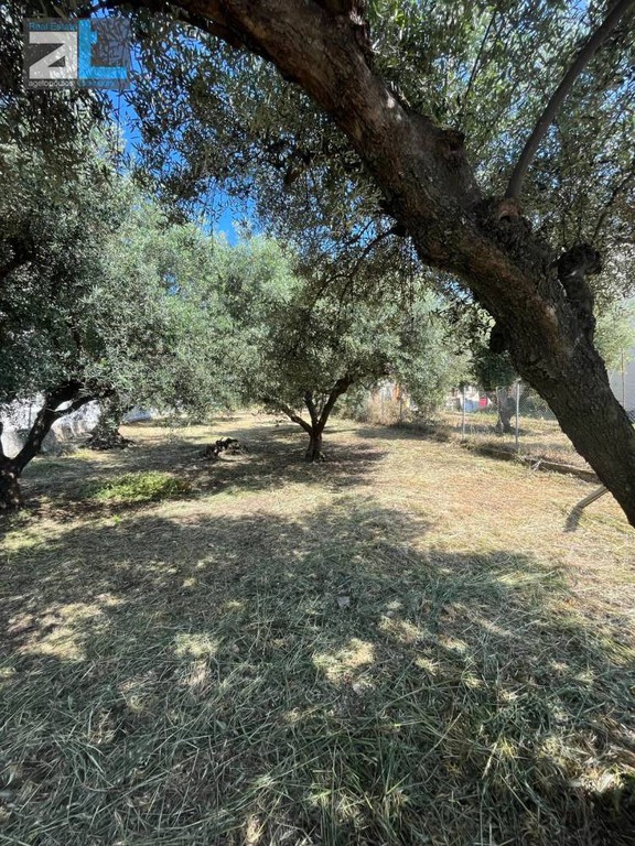 Οικόπεδο 400 τ.μ. προς πώληση, Αχαΐα, Πάτρα