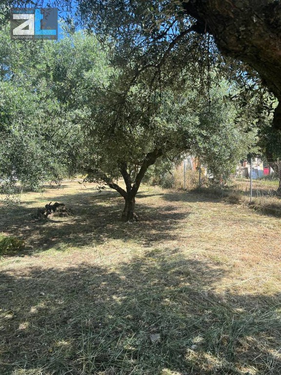 Οικόπεδο 400 τ.μ. προς πώληση, Αχαΐα, Πάτρα