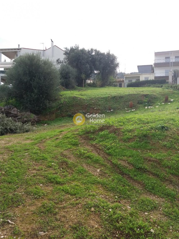 Οικόπεδο 1.164 τ.μ. προς πώληση, Μονοδένδρι Βραχναιίκων