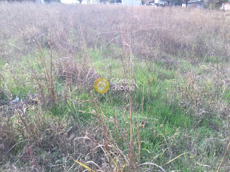 Land plot 3.000sqm for sale-Kallikrateia » Nea Irakleia