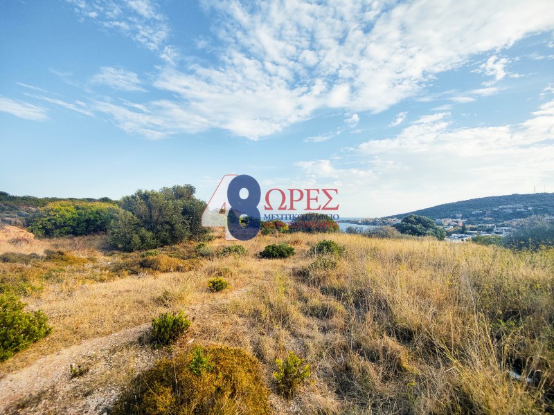 Οικόπεδο 9.082 τ.μ. προς πώληση, Άγιος Μηνάς Χίου