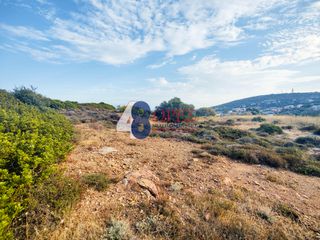 Οικόπεδο 9.082 τ.μ. για πώληση, Ν. Χίου, Χίος-thumb-10