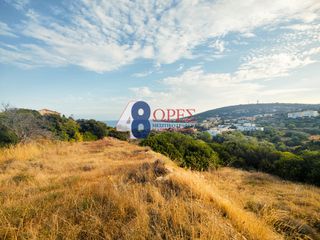 Οικόπεδο 9.082 τ.μ. για πώληση, Ν. Χίου, Χίος-thumb-7