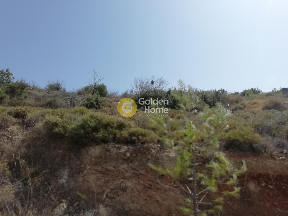Οικόπεδο 650 τ.μ. προς πώληση, Μονή Μεταμόρφωσης Σωτήρα