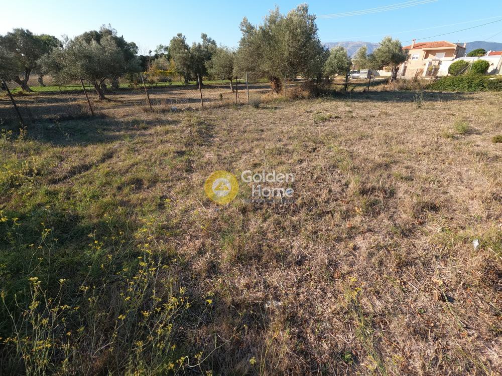 Οικόπεδο 563 τ.μ. προς πώληση, Κέντρο Παλλήνης