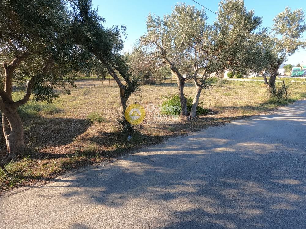Οικόπεδο 563 τ.μ. προς πώληση, Κέντρο Παλλήνης