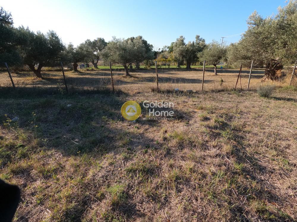 Οικόπεδο 563 τ.μ. προς πώληση, Κέντρο Παλλήνης