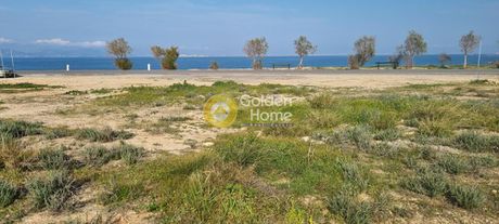 Parcel 1.264sqm for sale-Aegina » Livadi