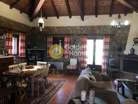 Detached home 200sqm for sale-Livadeia » Elikonas