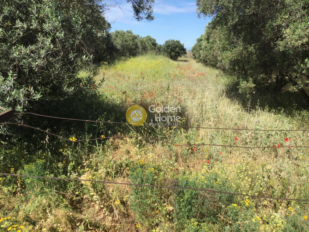 Αγροτεμάχια 5.060 τ.μ. προς πώληση, Κέντρο Θέρμης
