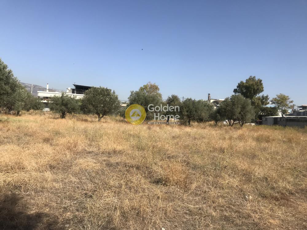 Οικόπεδο 4.750 τ.μ. προς πώληση, Πανόραμα Κηφισιάς
