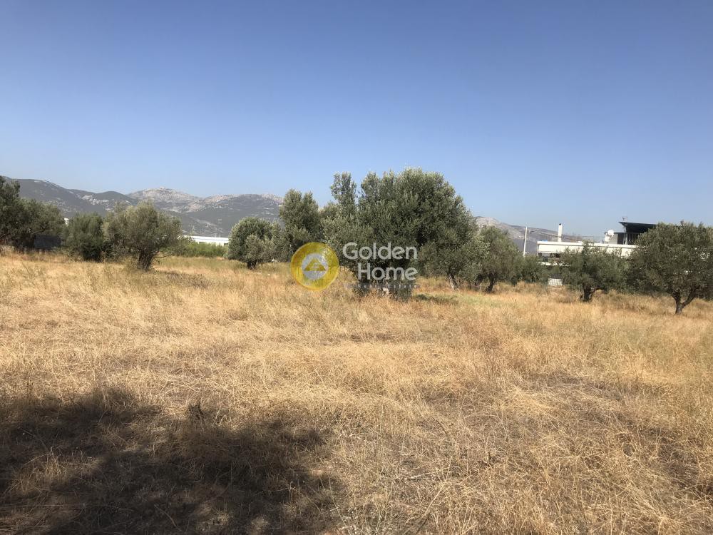 Οικόπεδο 4.750 τ.μ. προς πώληση, Πανόραμα Κηφισιάς