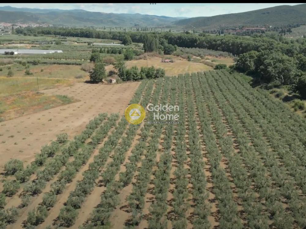 Αγροτεμάχια 4.000 τ.μ. προς πώληση, Ευαγγελισμός της Θεοτόκου