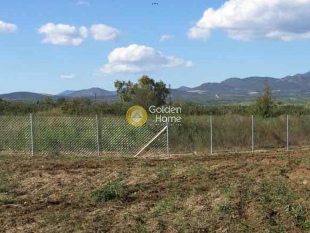 Αγροτεμάχια 4.000 τ.μ. προς πώληση, Ευαγγελισμός της Θεοτόκου