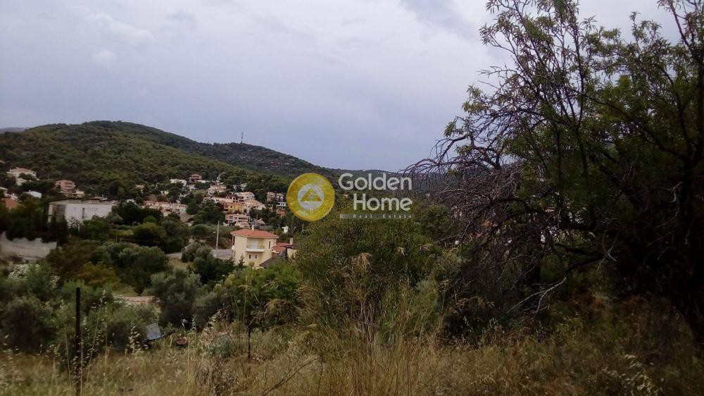 Αγροτεμάχια 1.225 τ.μ. προς πώληση, Κιούρκα