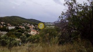 Αγροτεμάχια 1.225 τ.μ. για πώληση