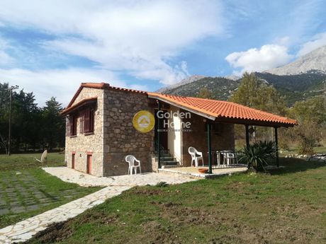 Detached home 90sqm for rent-Arachova » Zemeno