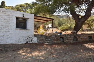 Οικόπεδο 12.000 τ.μ. για πώληση, Κυκλάδες, Κέα-thumb-8