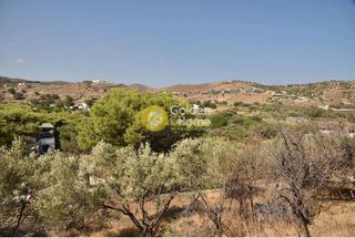 Οικόπεδο 12.000 τ.μ. για πώληση, Κυκλάδες, Κέα-thumb-2