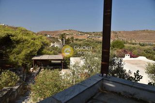 Οικόπεδο 12.000 τ.μ. για πώληση, Κυκλάδες, Κέα-thumb-3