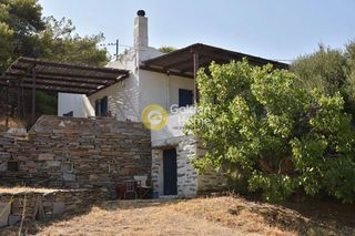 Οικόπεδο 12.000 τ.μ. για πώληση, Κυκλάδες, Κέα-thumb-7