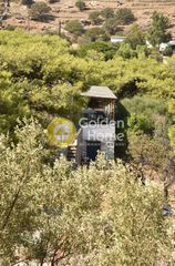 Οικόπεδο 12.000 τ.μ. για πώληση, Κυκλάδες, Κέα-thumb-13